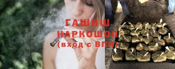 сатива Алзамай