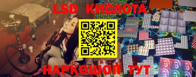прущие грибы Моздок
