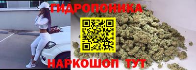 ALPHA-PVP Можга