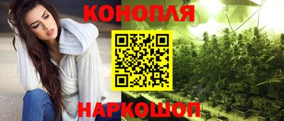 прущие грибы Моздок