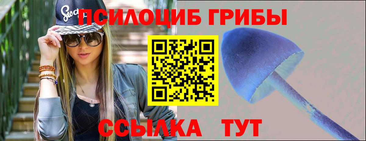 Галлюциногенные грибы мицелий  Псилоцибиновые грибы Cubensis  Вход с VPN  Джанкой 